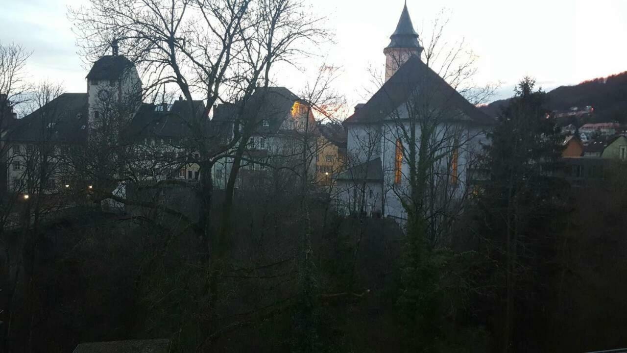 Waldshut Suite In Zentrum Buitenkant foto